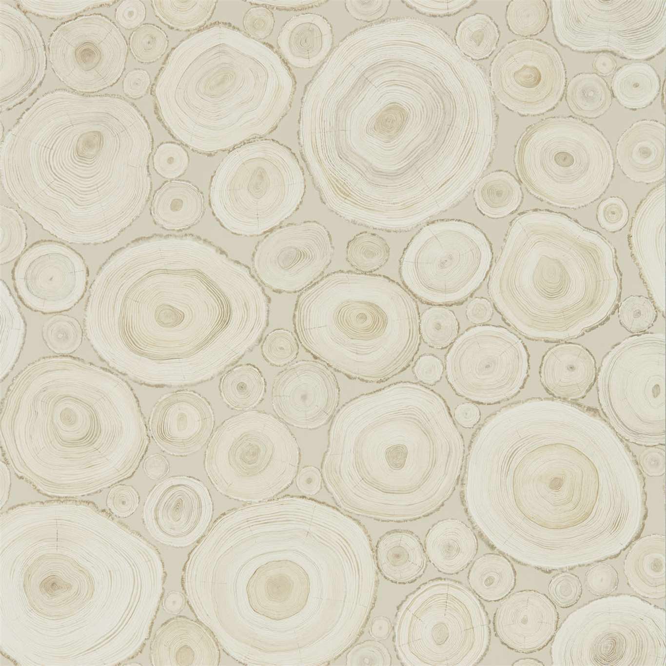 SANDERSON Alnwick Logs Wallpaper Leaves , Trees Birch Gravure - Wide Width Printed Wallpaper - DEBB216507