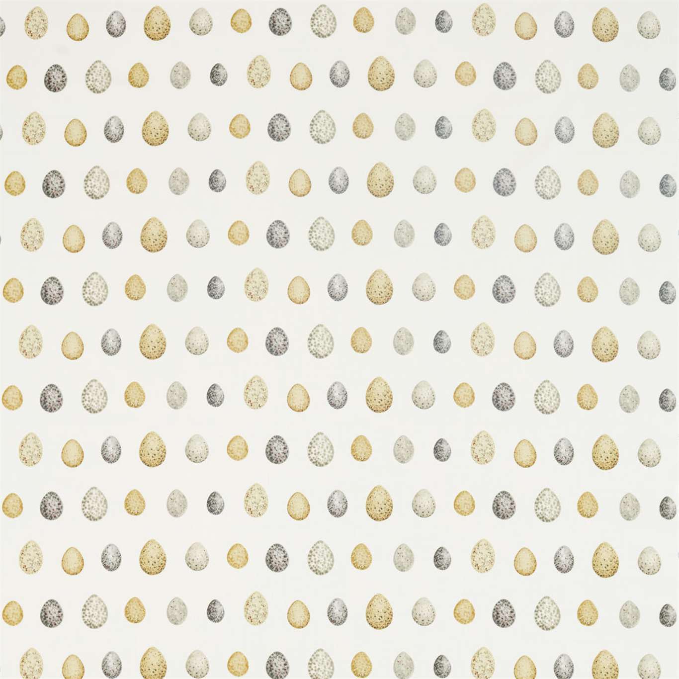 SANDERSON Nest Egg Fabric Other Corn,Graphite - DEBB226424