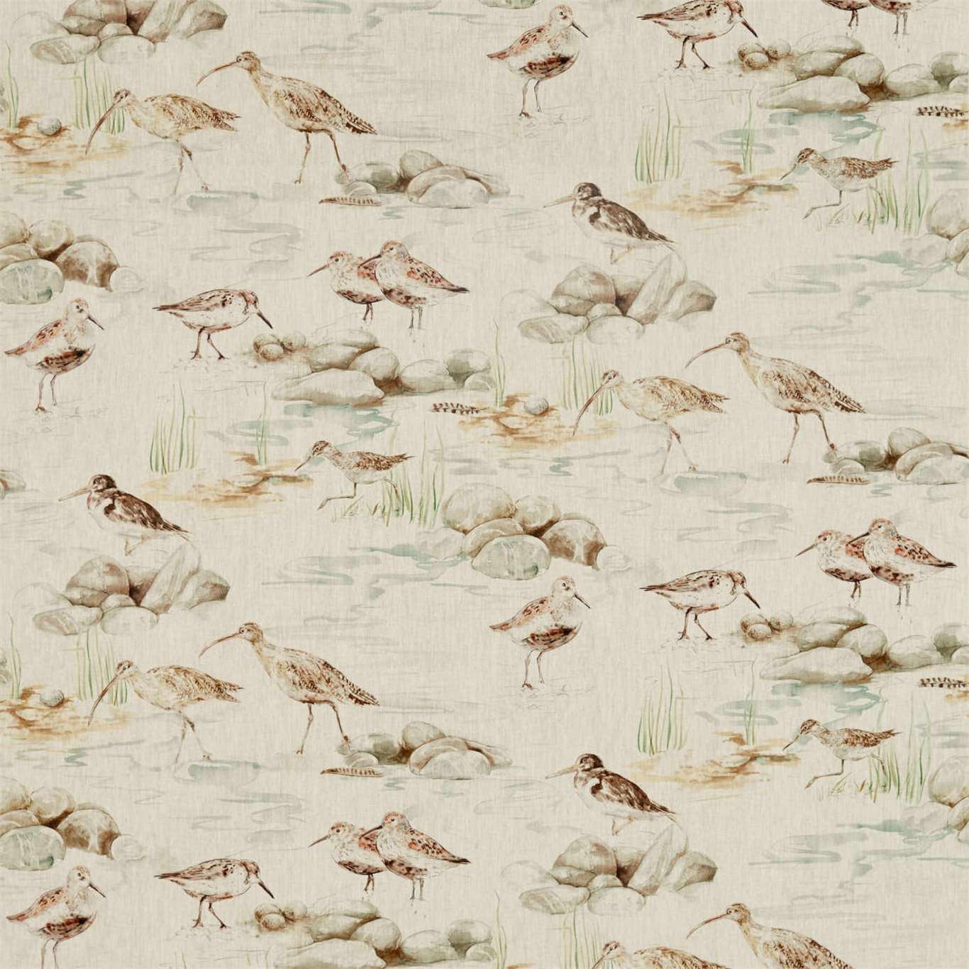 SANDERSON Estuary Birds Fabric Birds Linen Eggshell,Nest - DEBB226427