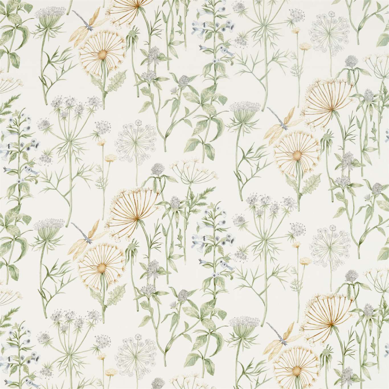 SANDERSON Wild Angelica Fabric Classic Floral Silver,Spring Leaf - DEBB226437