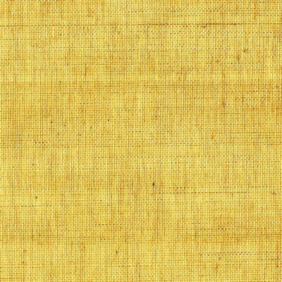 OUTLET DONGHIA HEMP I GRASSCLOTH---TEXTURE APRICOT - DG-0G970.005.0 (Discontinued)