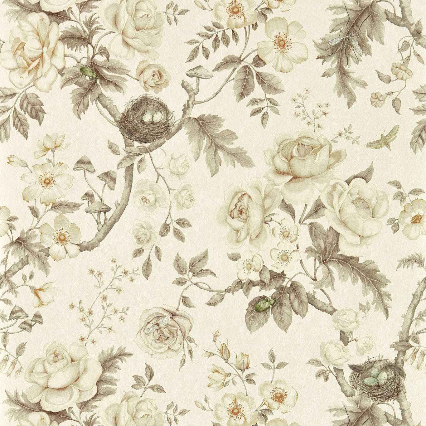 SANDERSON Tansy Bloom Wallpaper Classic Floral Oyster Digital Printed Wallpaper Wide Width - DGDW217315