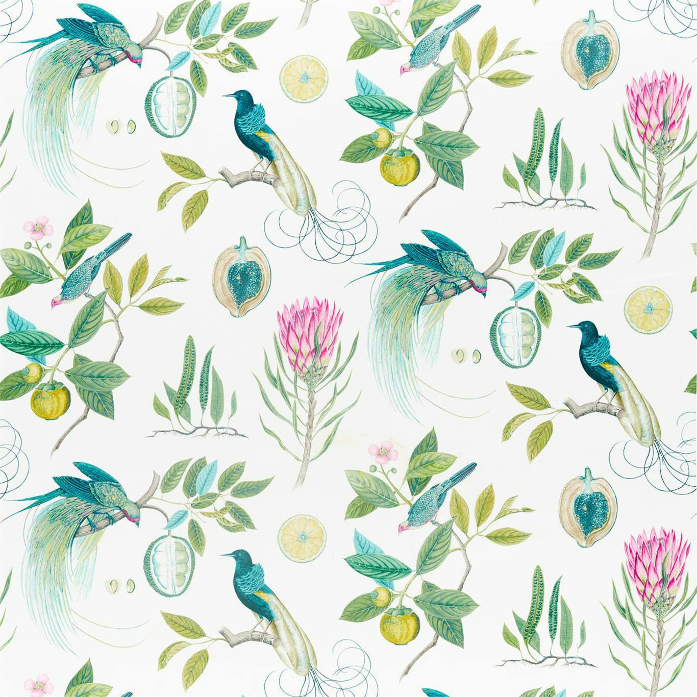 SANDERSON Paradesia Fabric Birds Botanical Green - DGLA226563