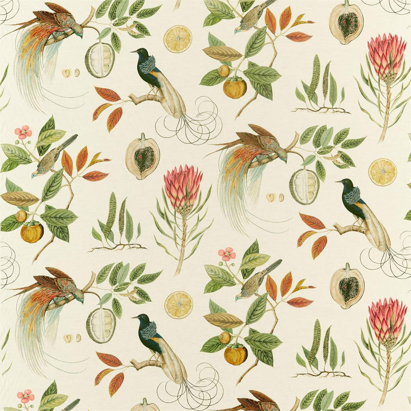 SANDERSON Paradesia Fabric Birds Orange,Olive - DGLA226564