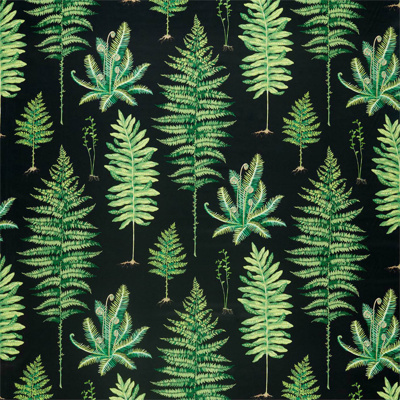SANDERSON Fernery Fabric Leaves , Trees Botanical Green,Charcoal - DGLA226577