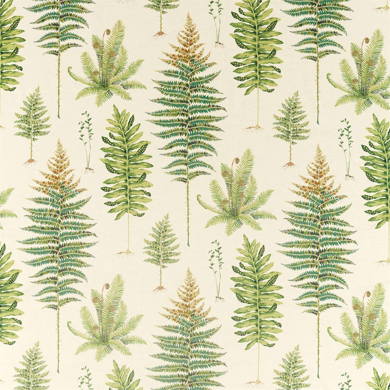 SANDERSON Fernery Fabric Leaves , Trees Olive - DGLA226578