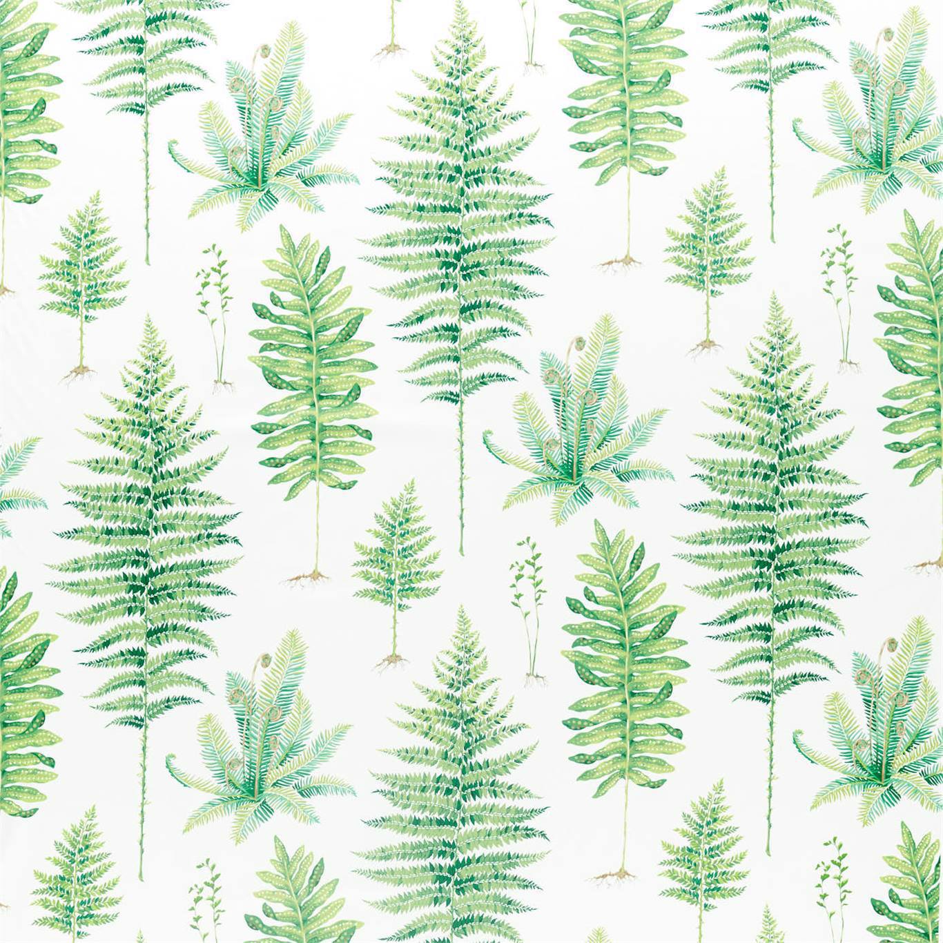 SANDERSON Fernery Fabric Leaves , Trees Botanical Green - DGLA226579