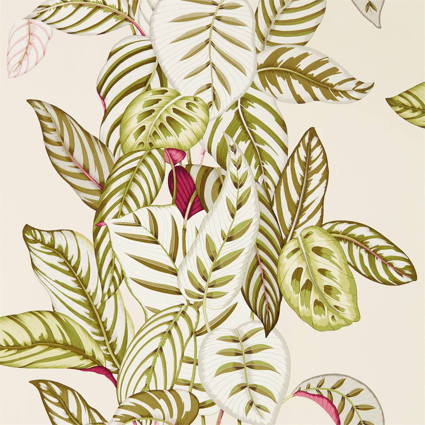SANDERSON Calathea Wallpaper Leaves , Trees Olive Gravure - Wide Width Printed Wallpaper - DGLW216631