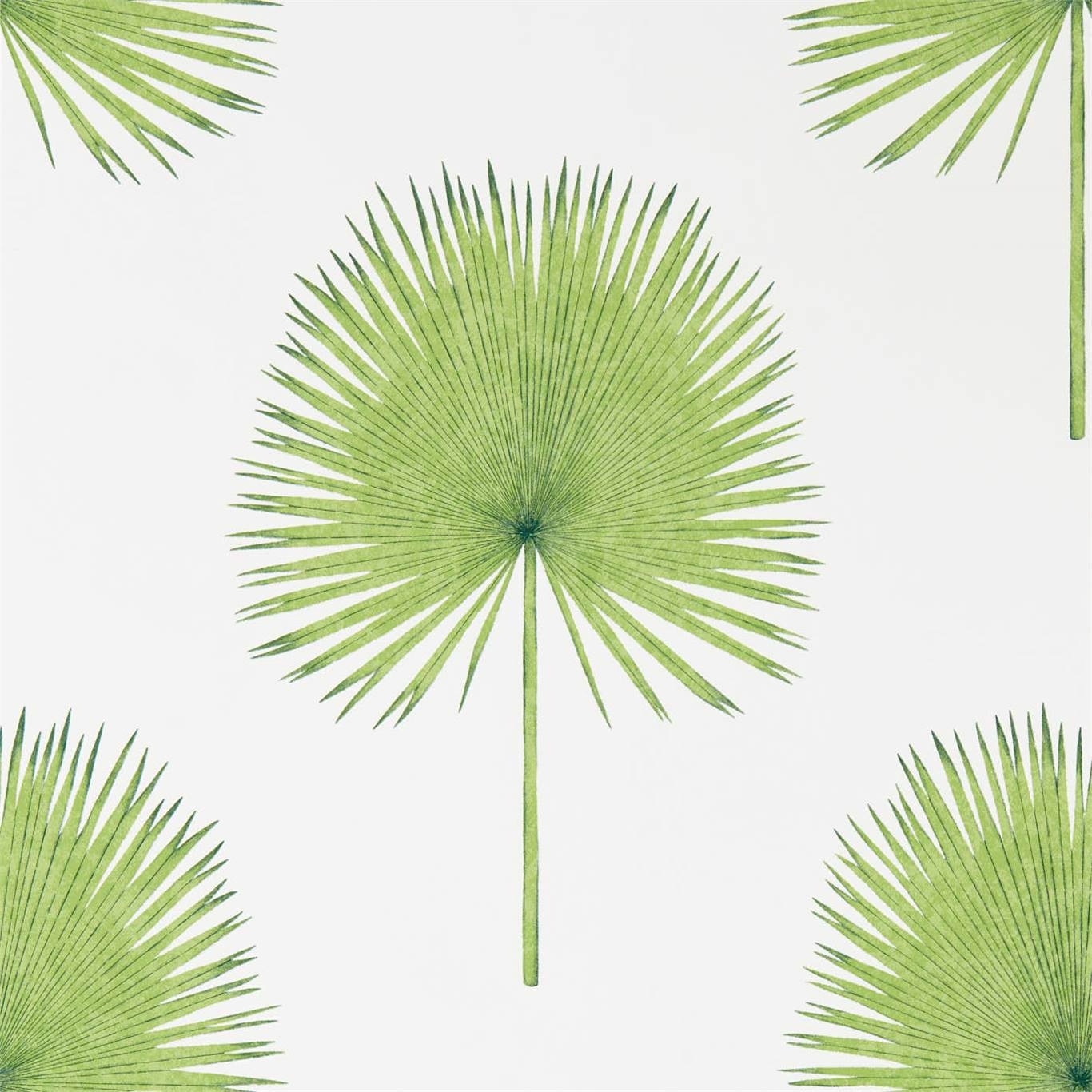 SANDERSON Fan Palm Wallpaper Leaves , Trees Botanical Green Gravure Printed Wallpaper - DGLW216636