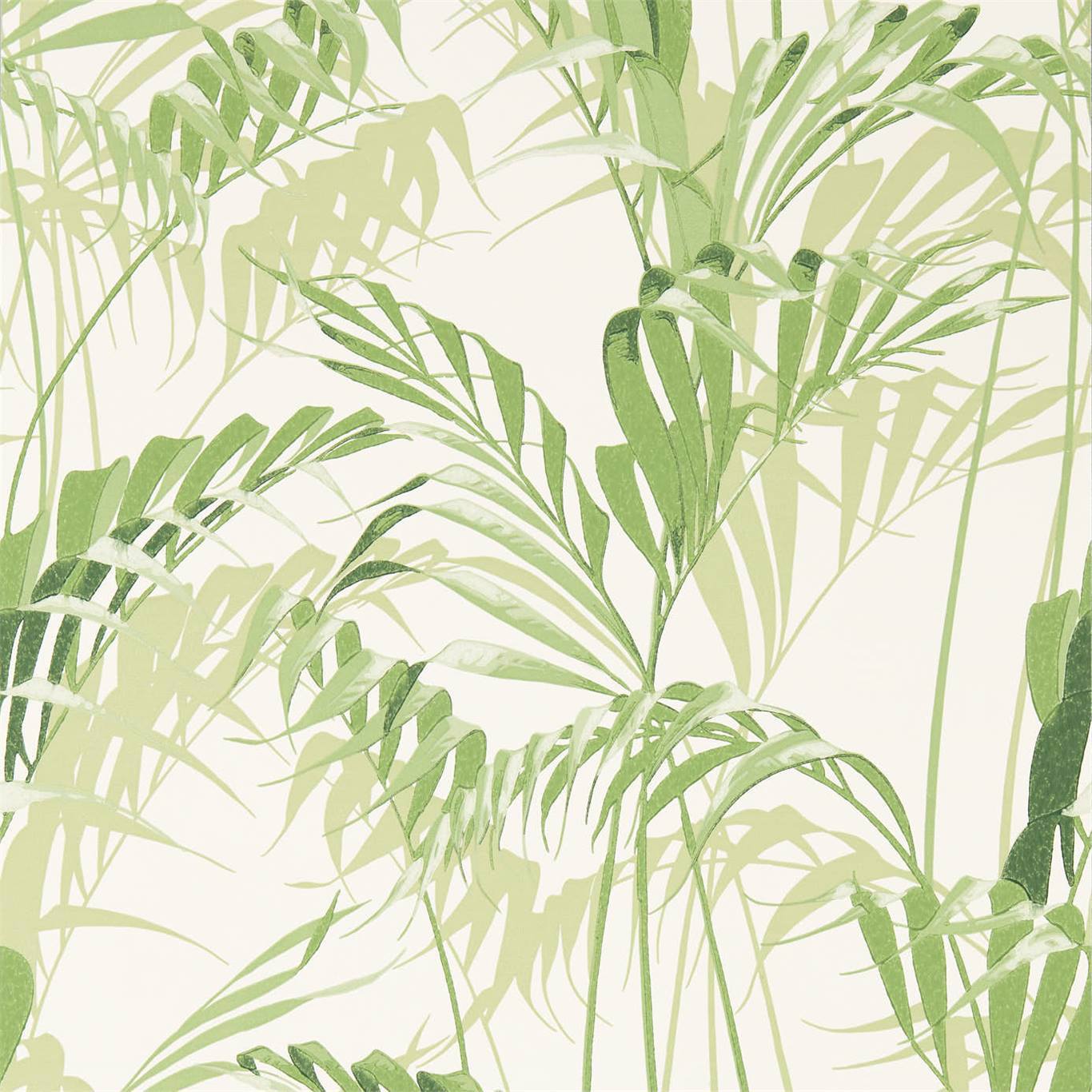 SANDERSON Palm House Wallpaper Leaves , Trees Botanical Green Surflex-Printed Wallpaper - DGLW216643