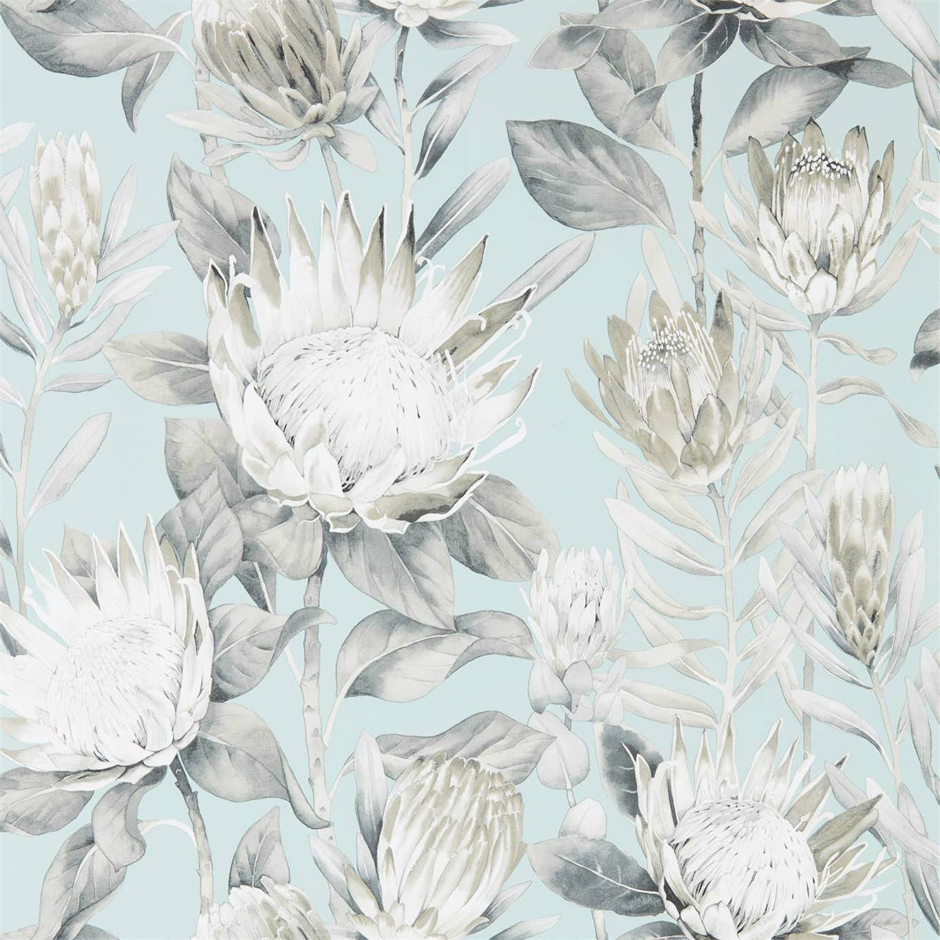 SANDERSON King Protea Wallpaper Classic Floral Aqua,Linen Gravure - Wide Width Printed Wallpaper - DGLW216645