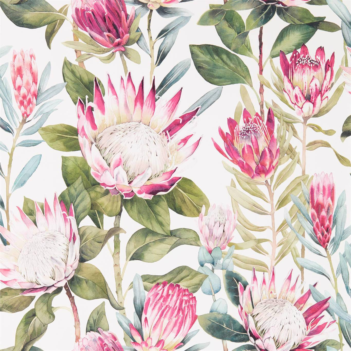 SANDERSON King Protea Wallpaper Classic Floral Rhodera,Cream Gravure - Wide Width Printed Wallpaper - DGLW216646