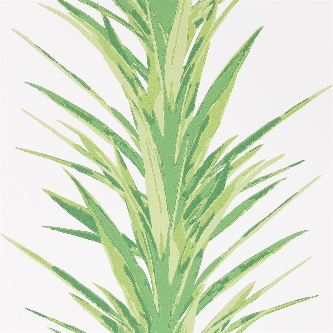 SANDERSON Yucca Wallpaper Leaves , Trees Botanical Green Surface- Printed Wallpaper - DGLW216649
