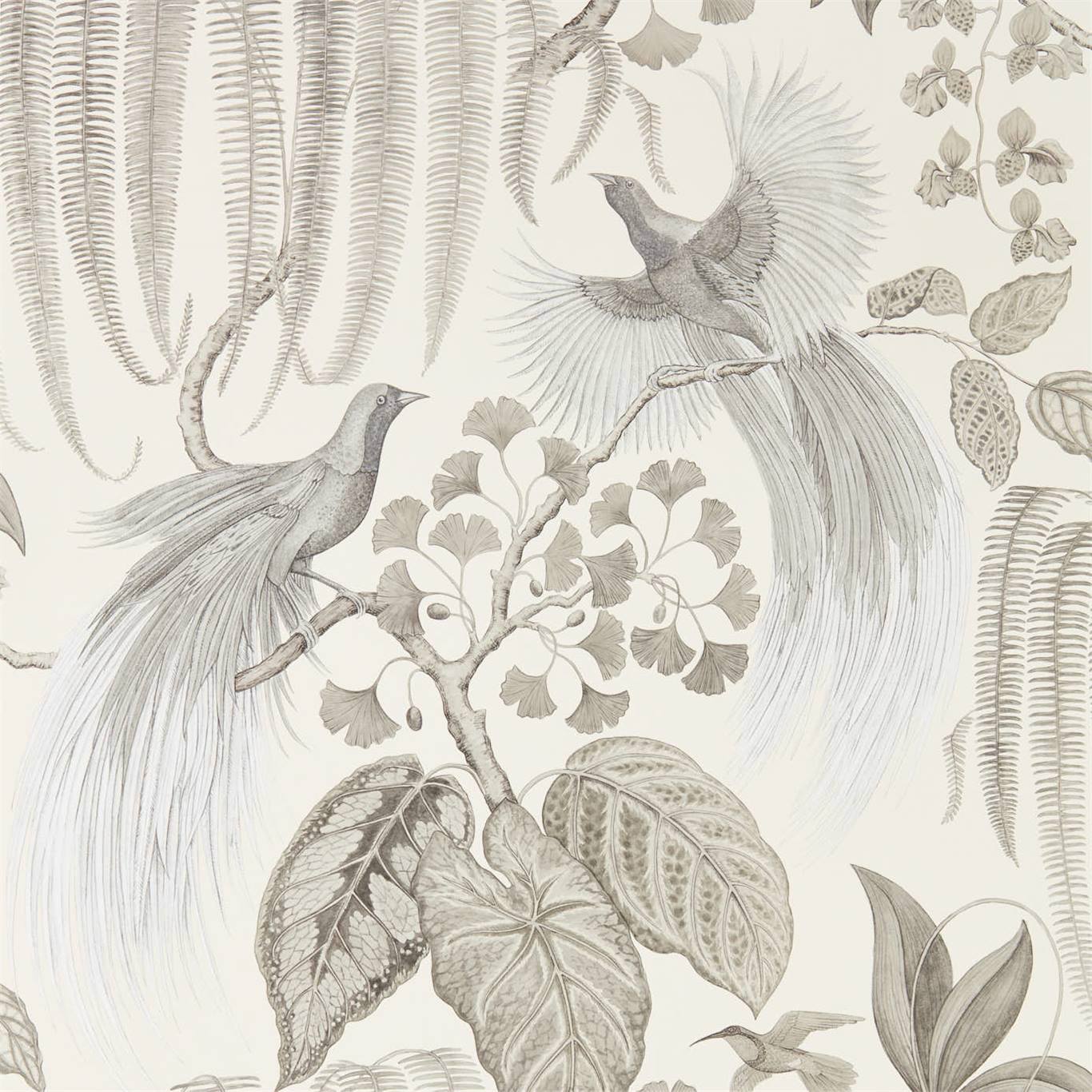 SANDERSON Bird of Paradise Wallpaper Leaves , Trees Linen Gravure - Wide Width Printed Wallpaper - DGLW216652