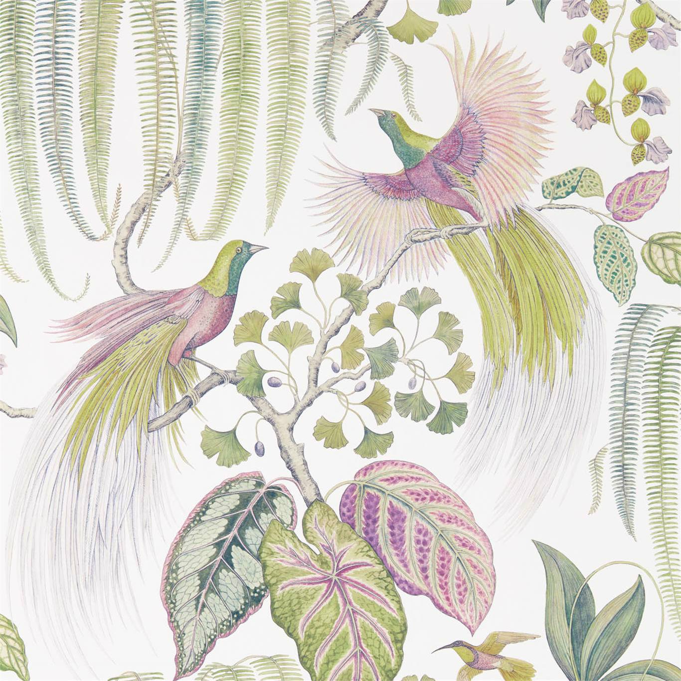 SANDERSON Bird of Paradise Wallpaper Leaves , Trees Orchid Gravure - Wide Width Printed Wallpaper - DGLW216654