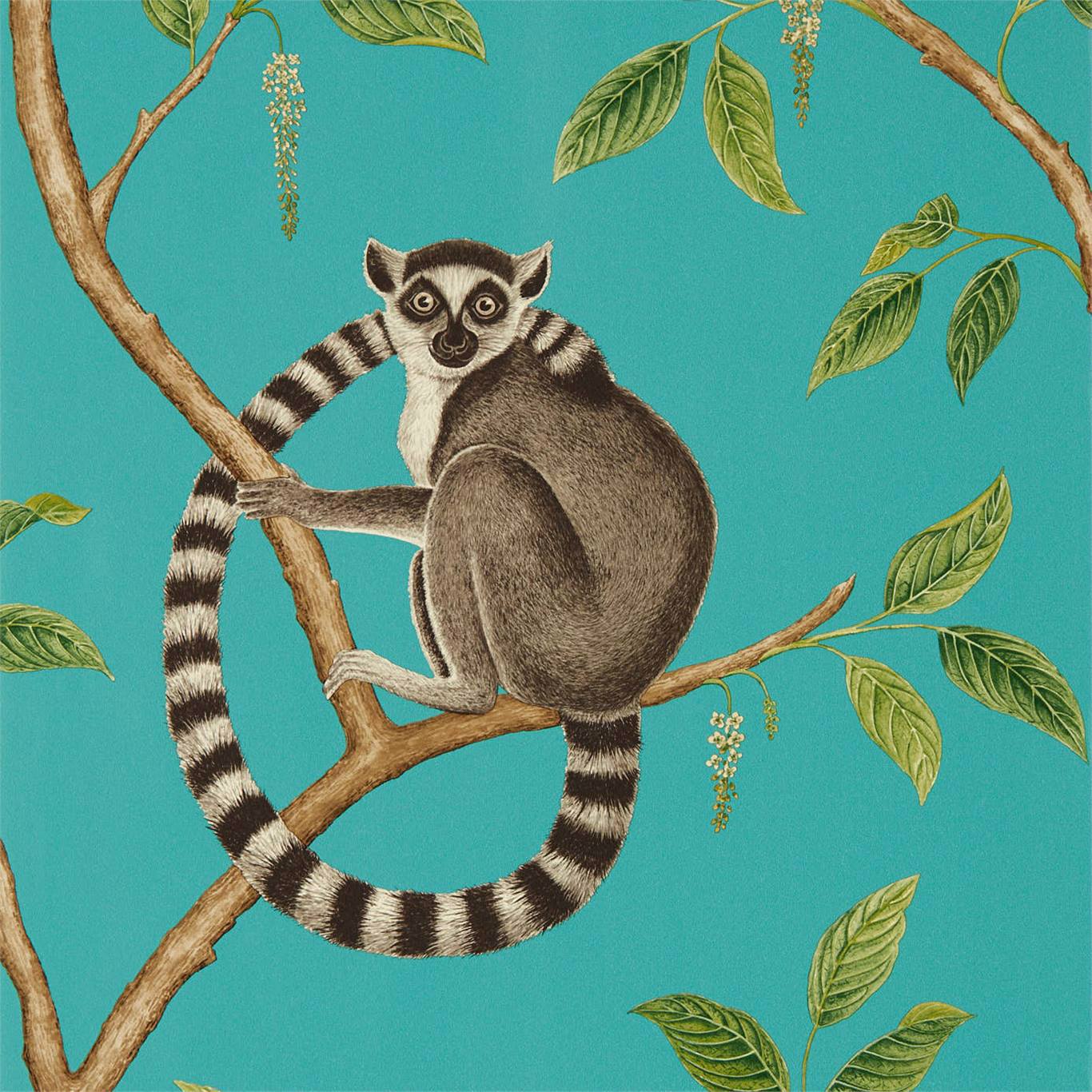 SANDERSON Ringtailed Lemur Wallpaper Animals Teal Gravure Printed Wallpaper - DGLW216663