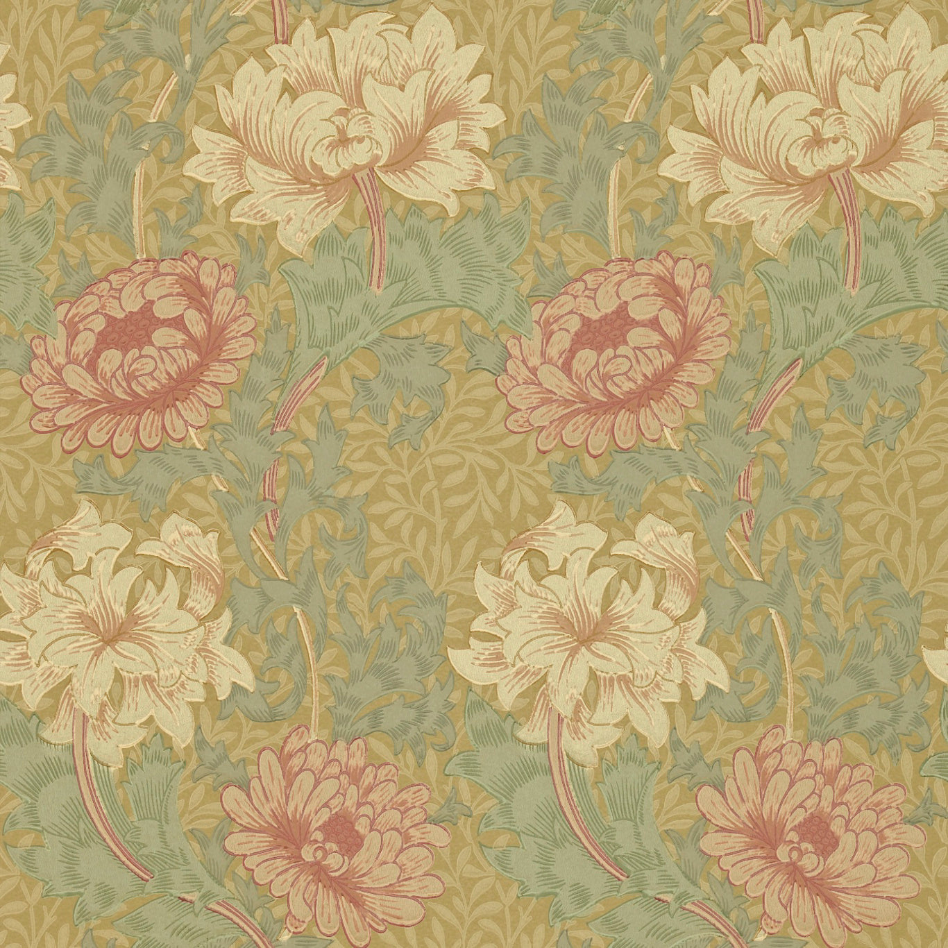 MORRIS & CO Chrysanthemum Wallpaper Contemporary, Floral Bayleaf,Clay Surface- Printed Wallpaper - DGW1CY101