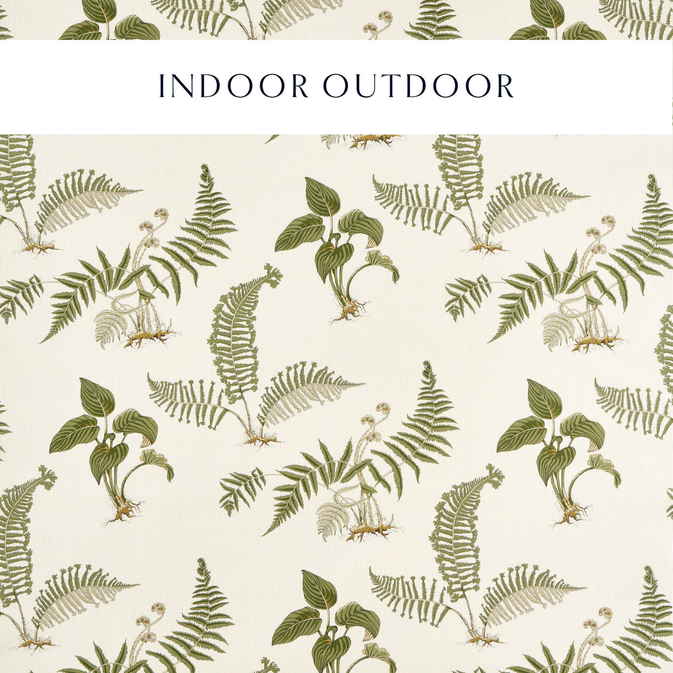 SANDERSON Hosta & Fern Fabric Leaves , Trees Olivine - DHIF227337