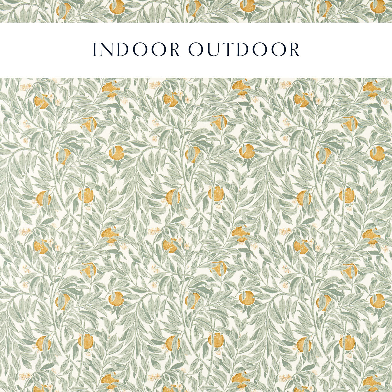 SANDERSON Ancient Apple Orchard Fabric Leaves , Trees Golden Knot , Sage - DHIF227340