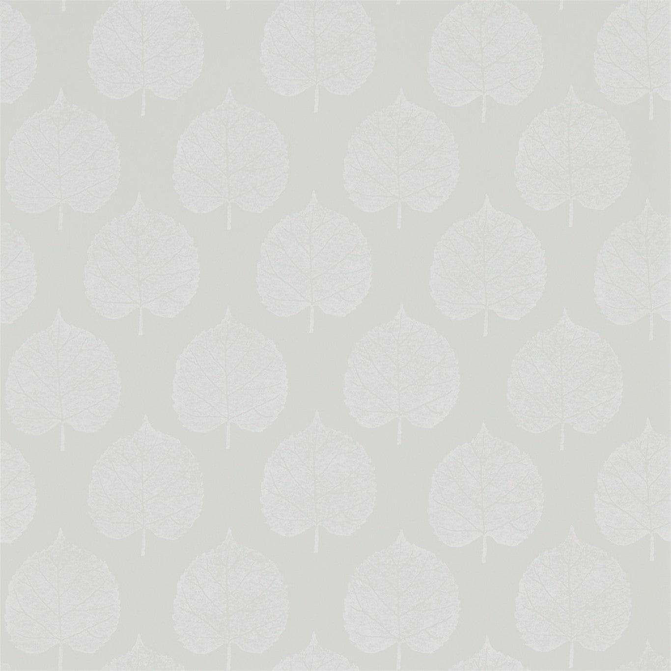 SANDERSON OUTLET Lyme Leaf Wallpaper Leaves , Trees Dove - DHPO216384