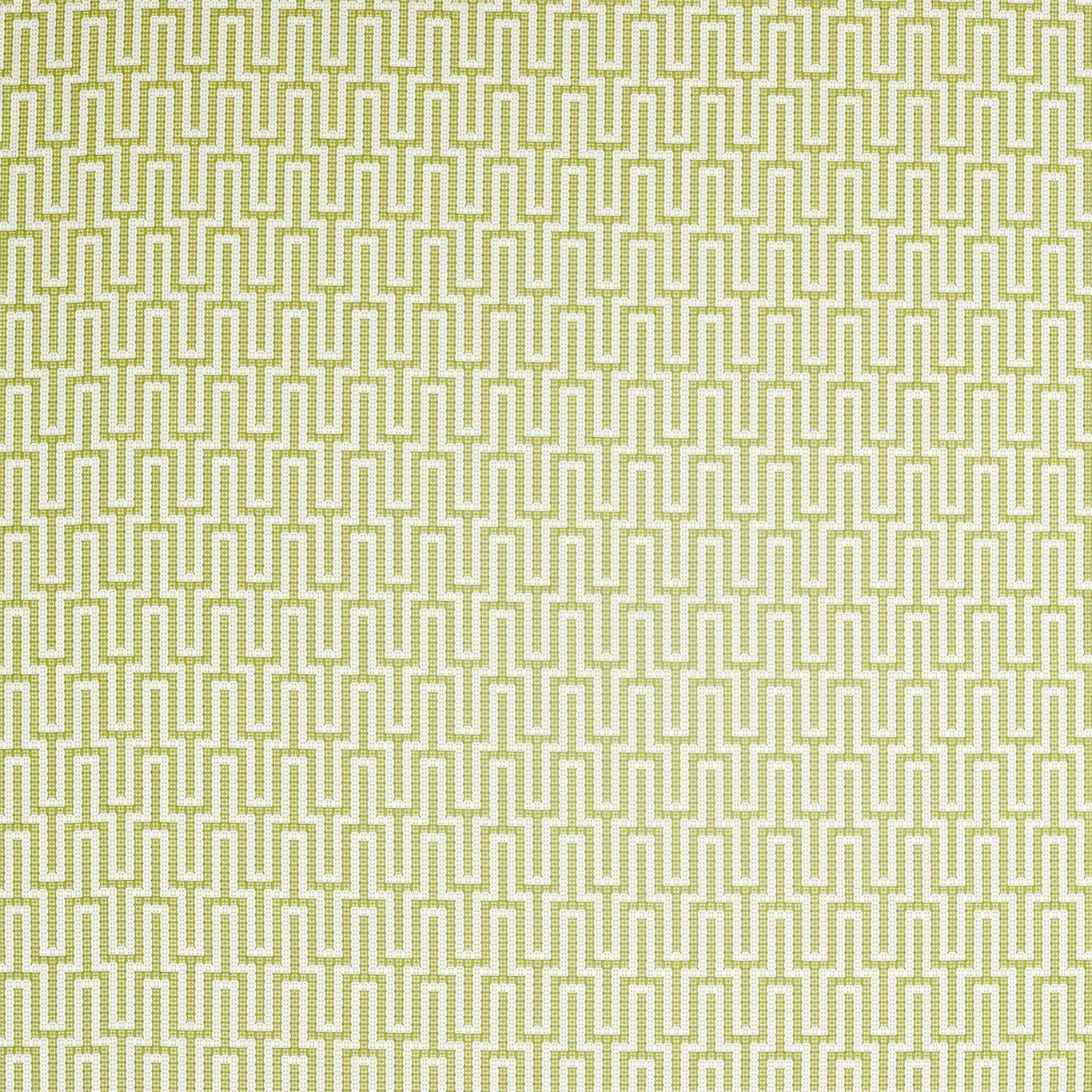 SANDERSON Linnean Fabric Geometric Lime - DLNC236785
