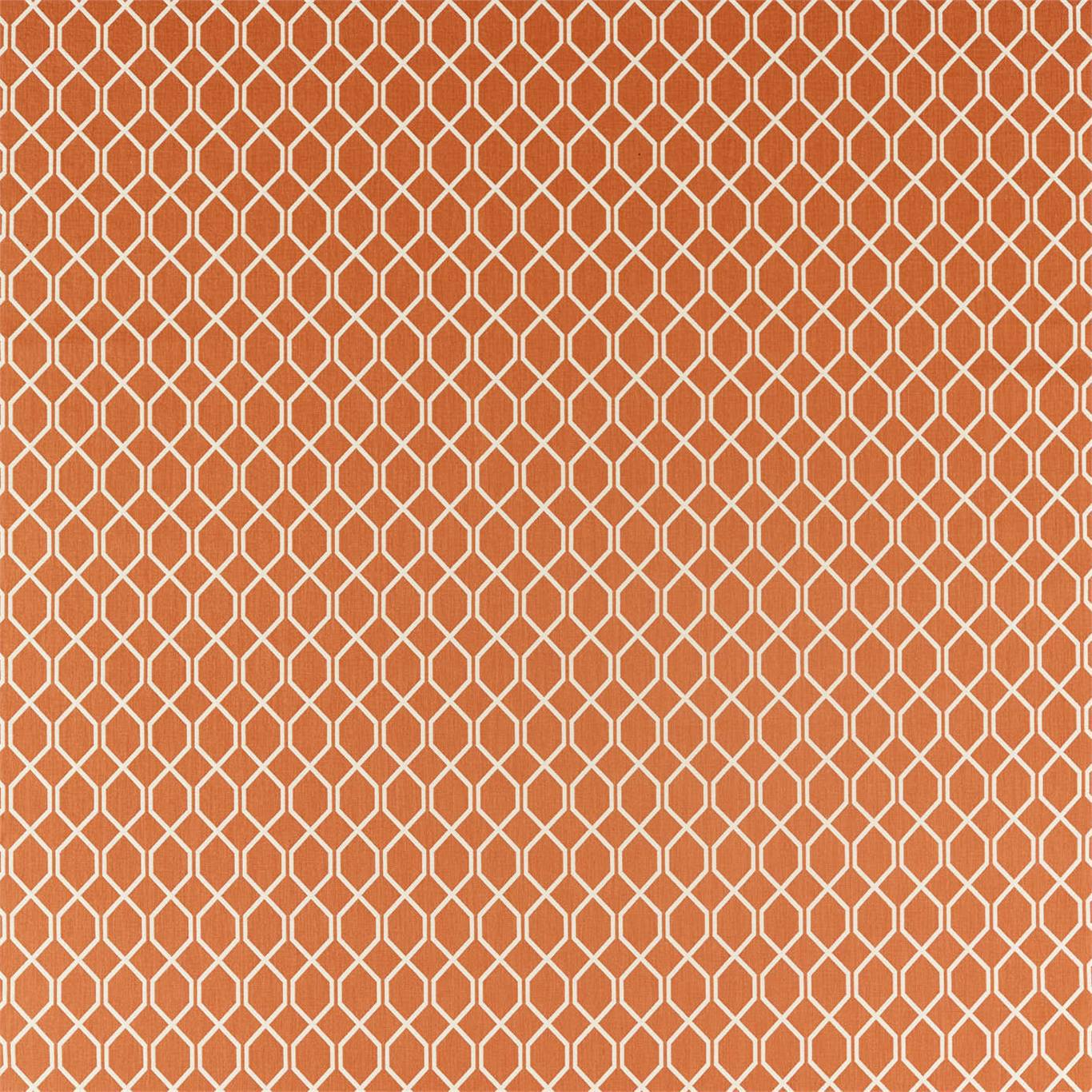 SANDERSON Botanic Trellis Fabric Geometric Papaya - DLNC236791