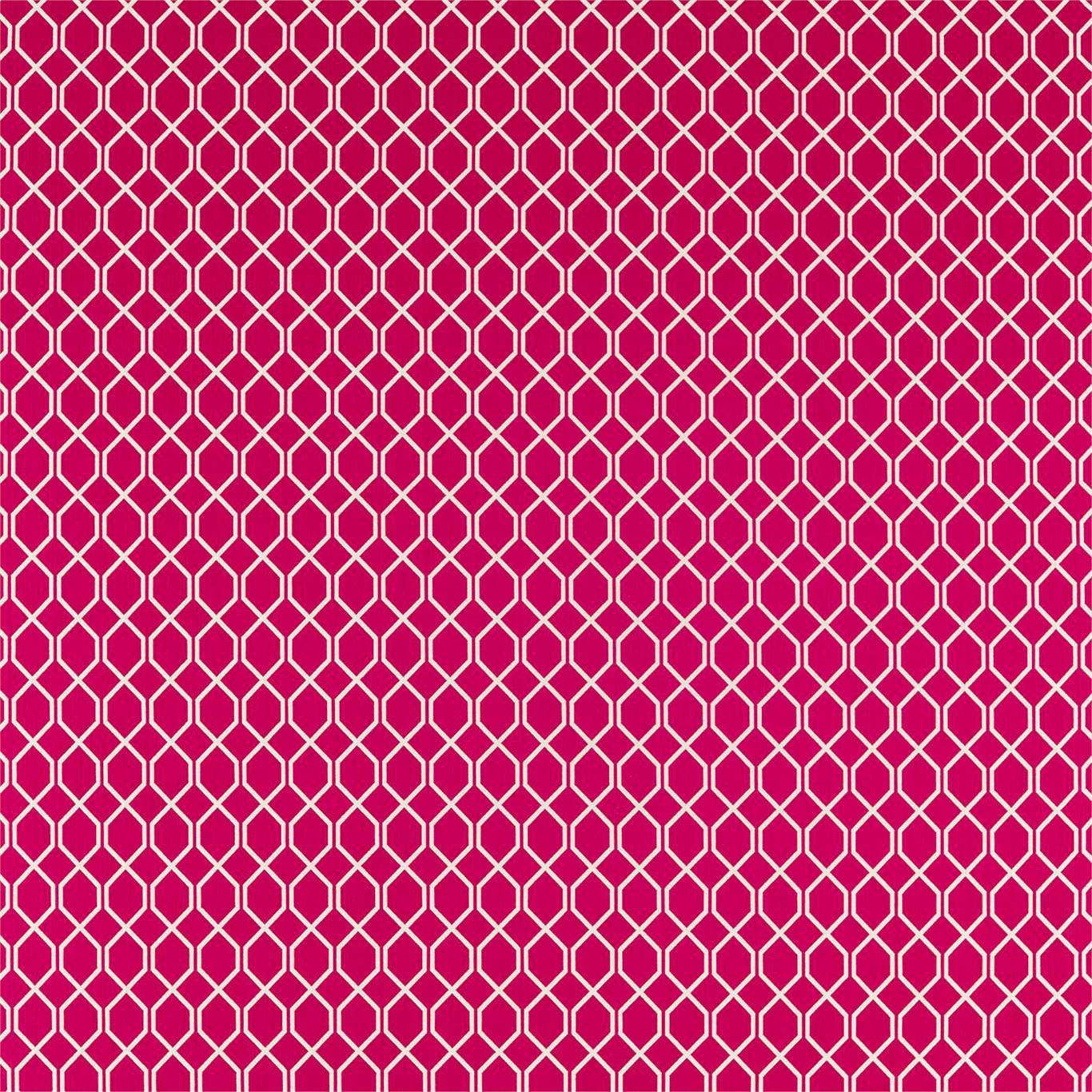 SANDERSON Botanic Trellis Fabric Geometric Rhodera - DLNC236795