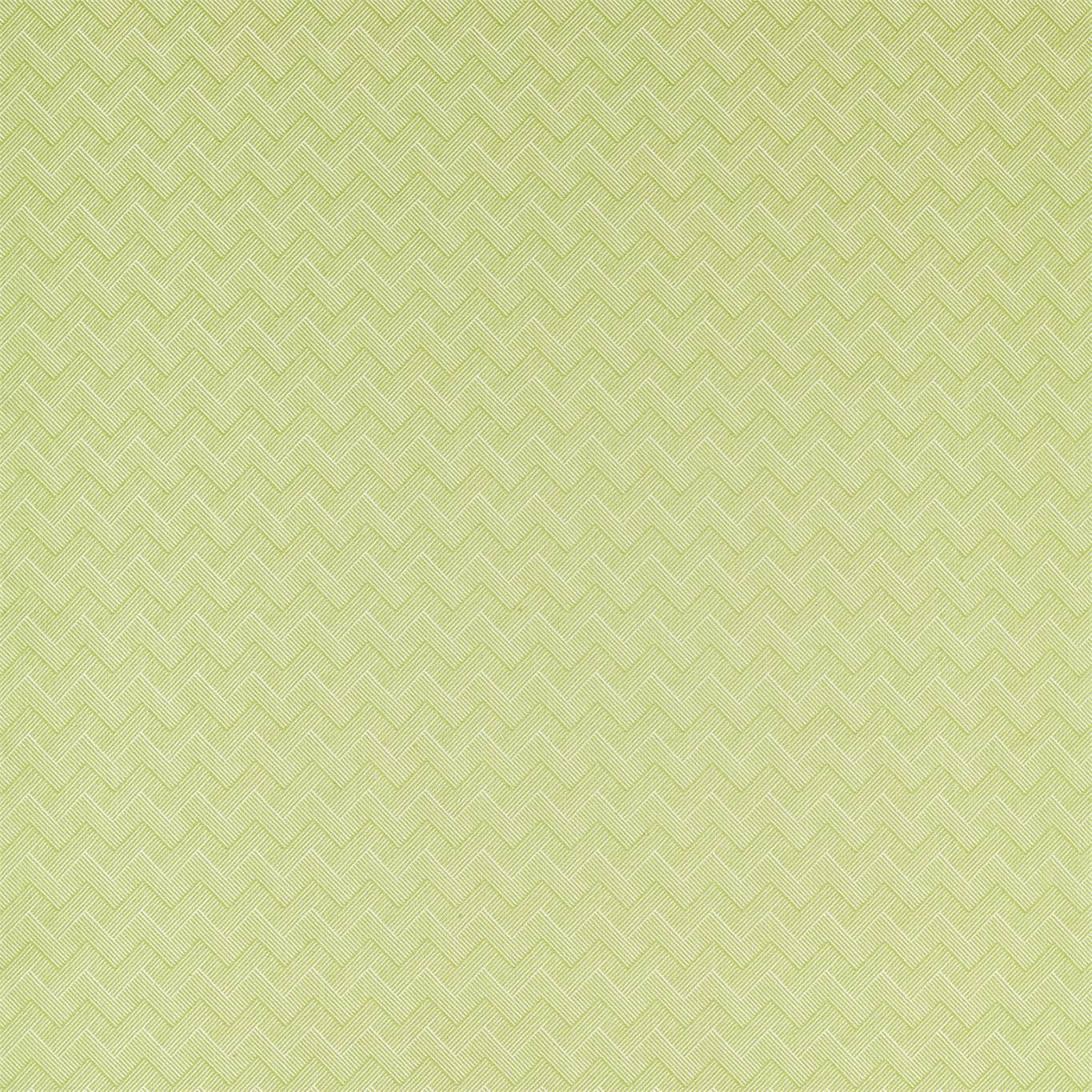 SANDERSON Nelson Fabric Abstract , Graphic Lime - DLNC236800