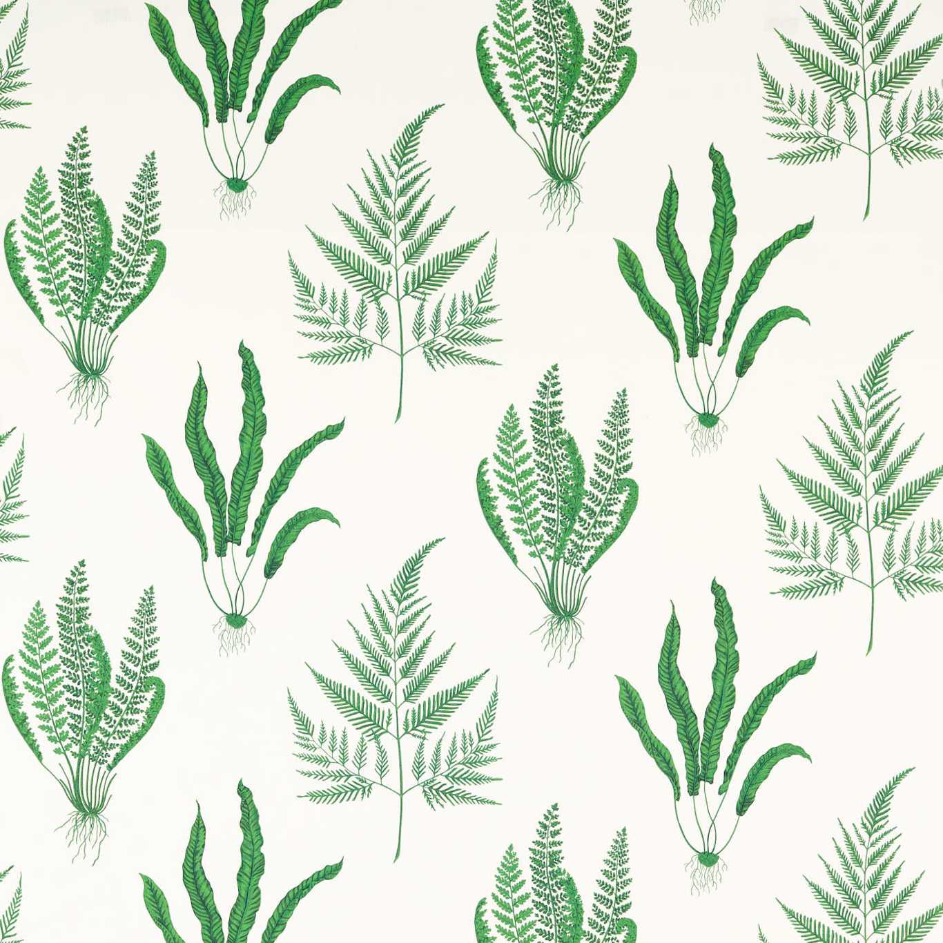 SANDERSON OUTLET Woodland Ferns Fabric Leaves , Trees Botanical Green - DLUM226927