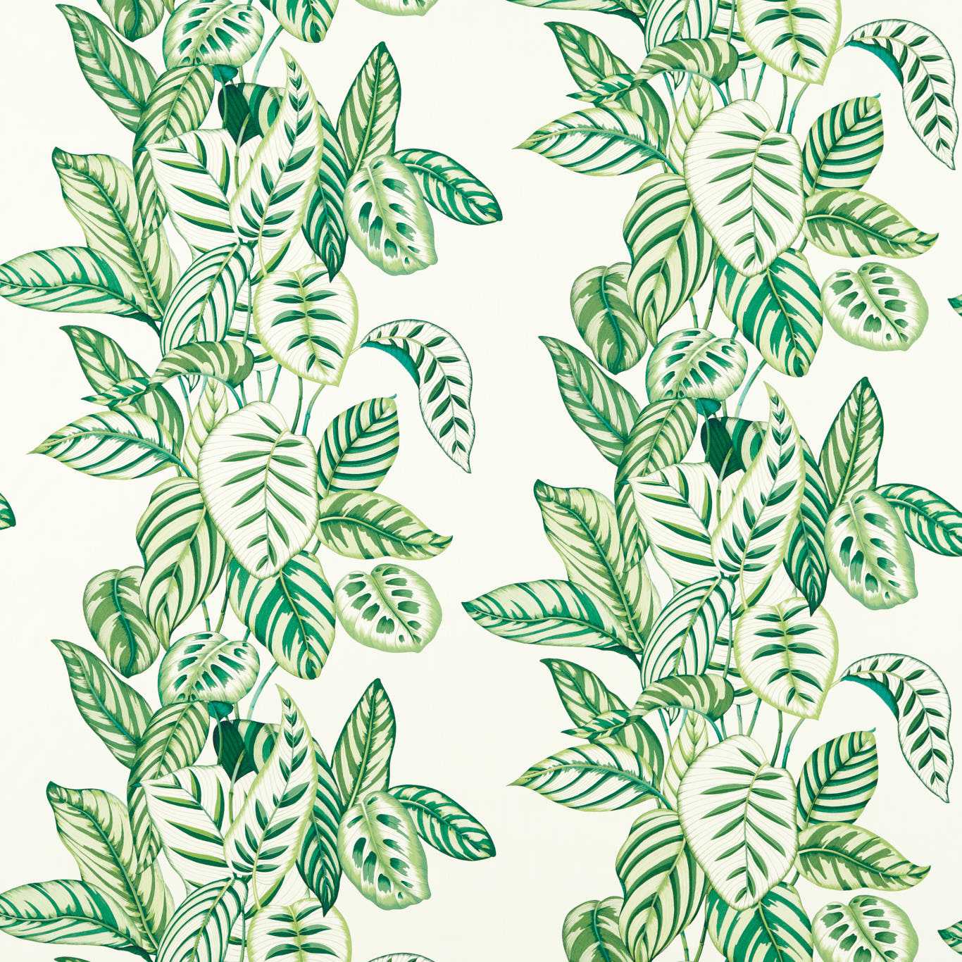 SANDERSON Calathea Fabric Floral ,Botanical Botanical Green - DLUM226943