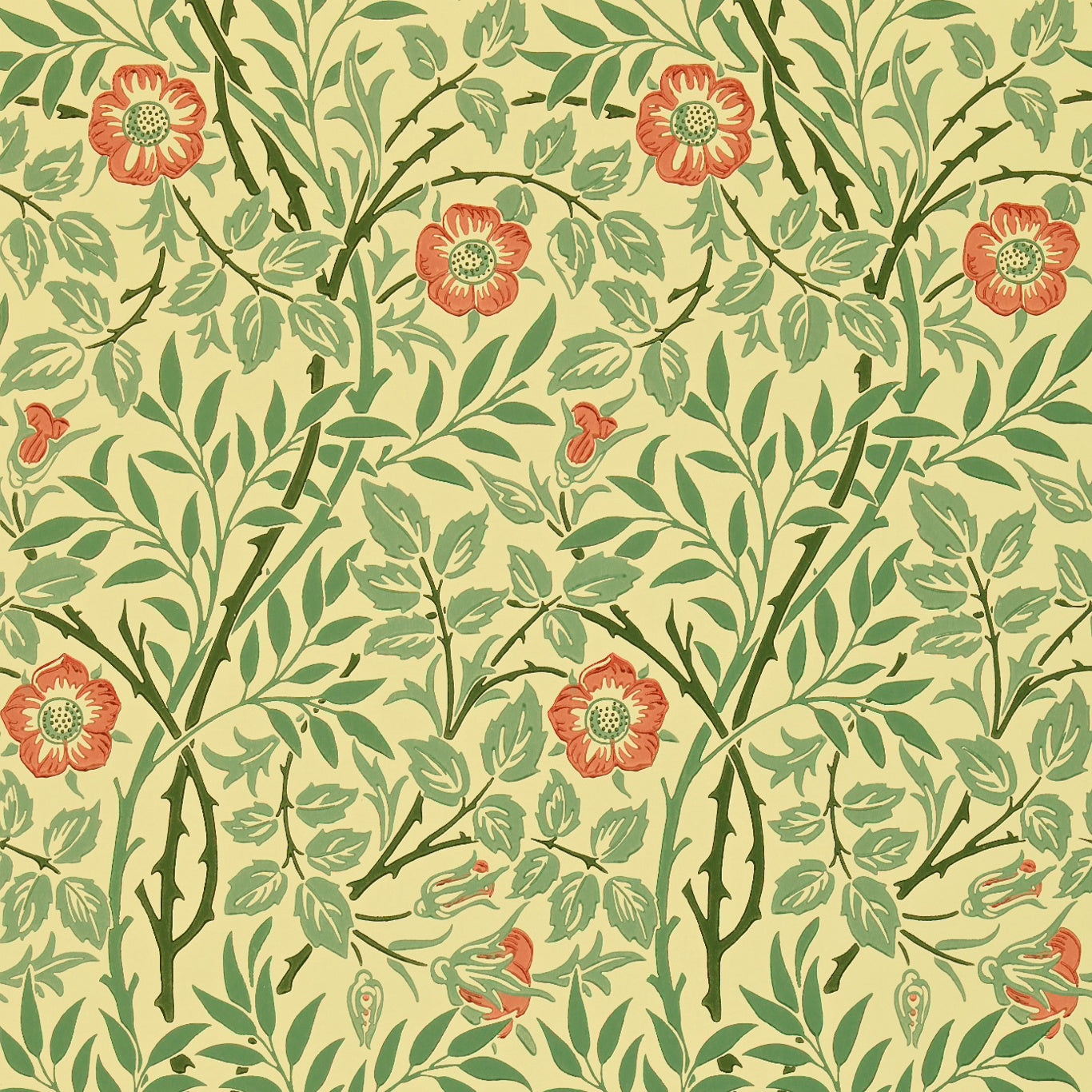 MORRIS & CO Sweet Briar Wallpaper Classic Floral Green,Blue,Rust Surface- Printed Wallpaper - DMC130101