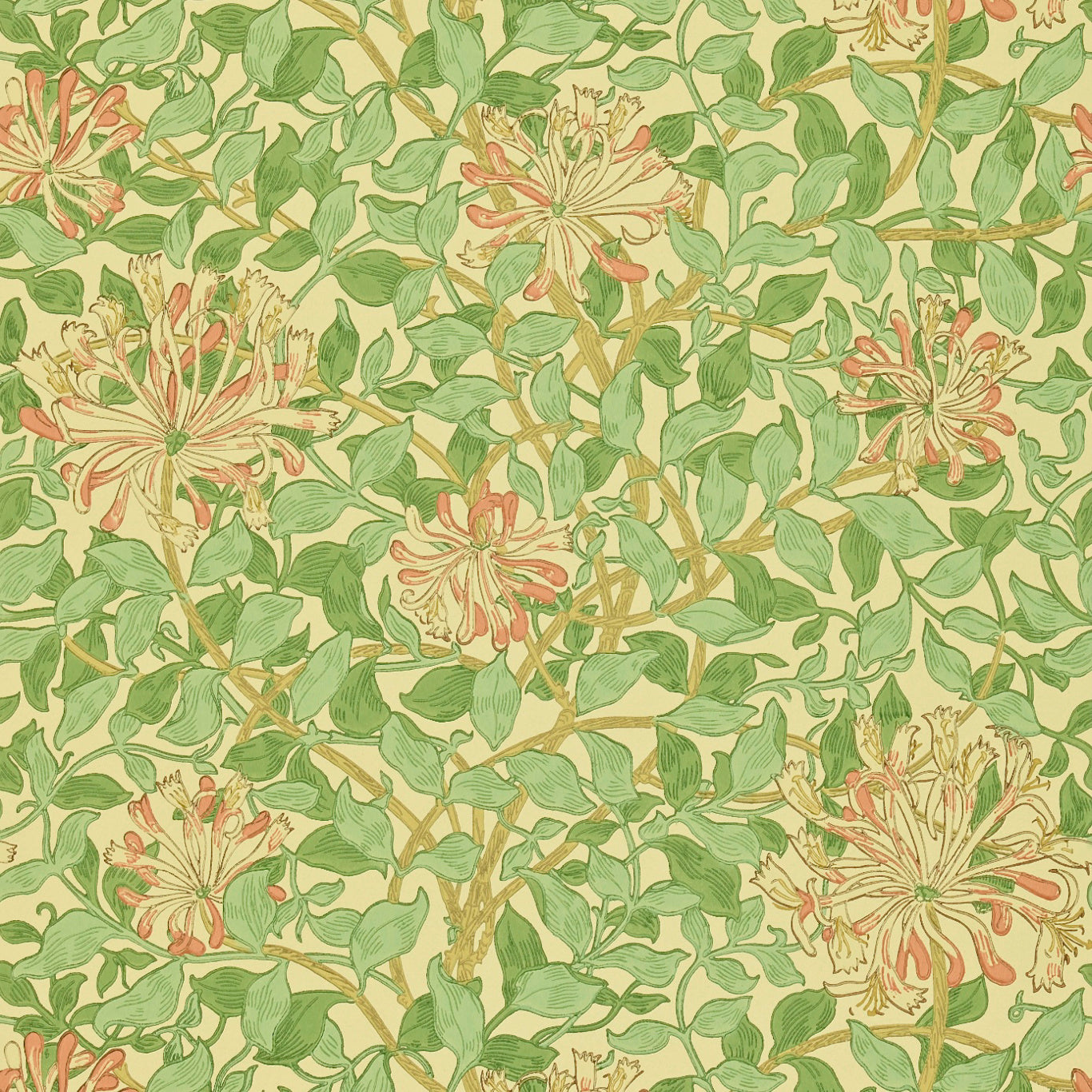 MORRIS & CO Honeysuckle Wallpaper Classic Floral Green,Beige,Pink Surface- Printed Wallpaper - DMC1HS103