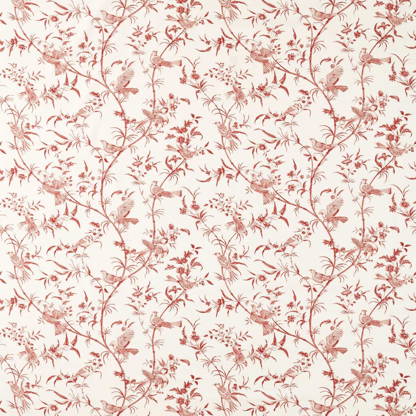 SANDERSON Paradise Woods Toile Printed Fabric Madder - DNAT227401