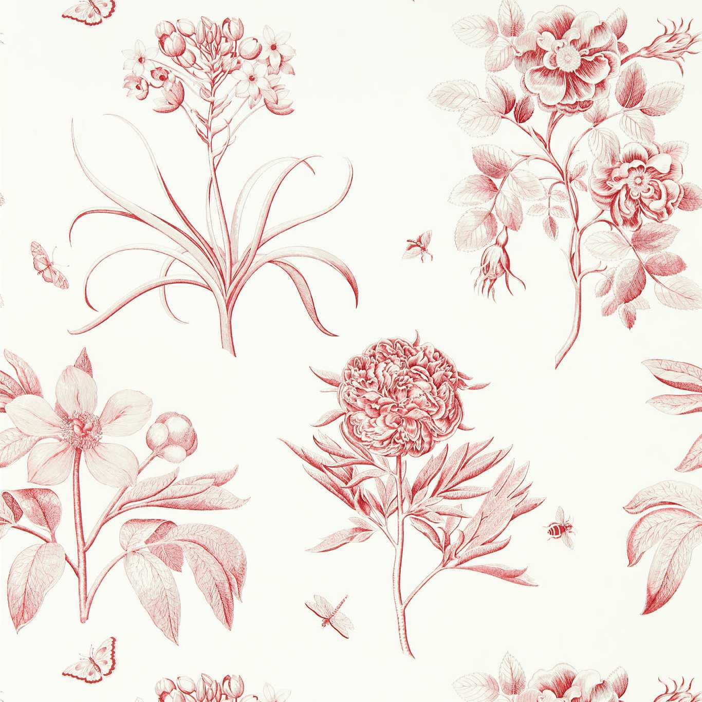 SANDERSON Etchings & Roses Wallpaper Classic Floral Amanpuri Red Gravure - Wide Width Printed Wallpaper - DOSW217054