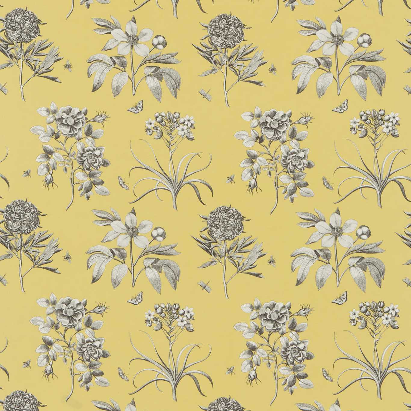 SANDERSON Etchings & Rose Fabric Classic Floral Empire Yellow - DPFPET204