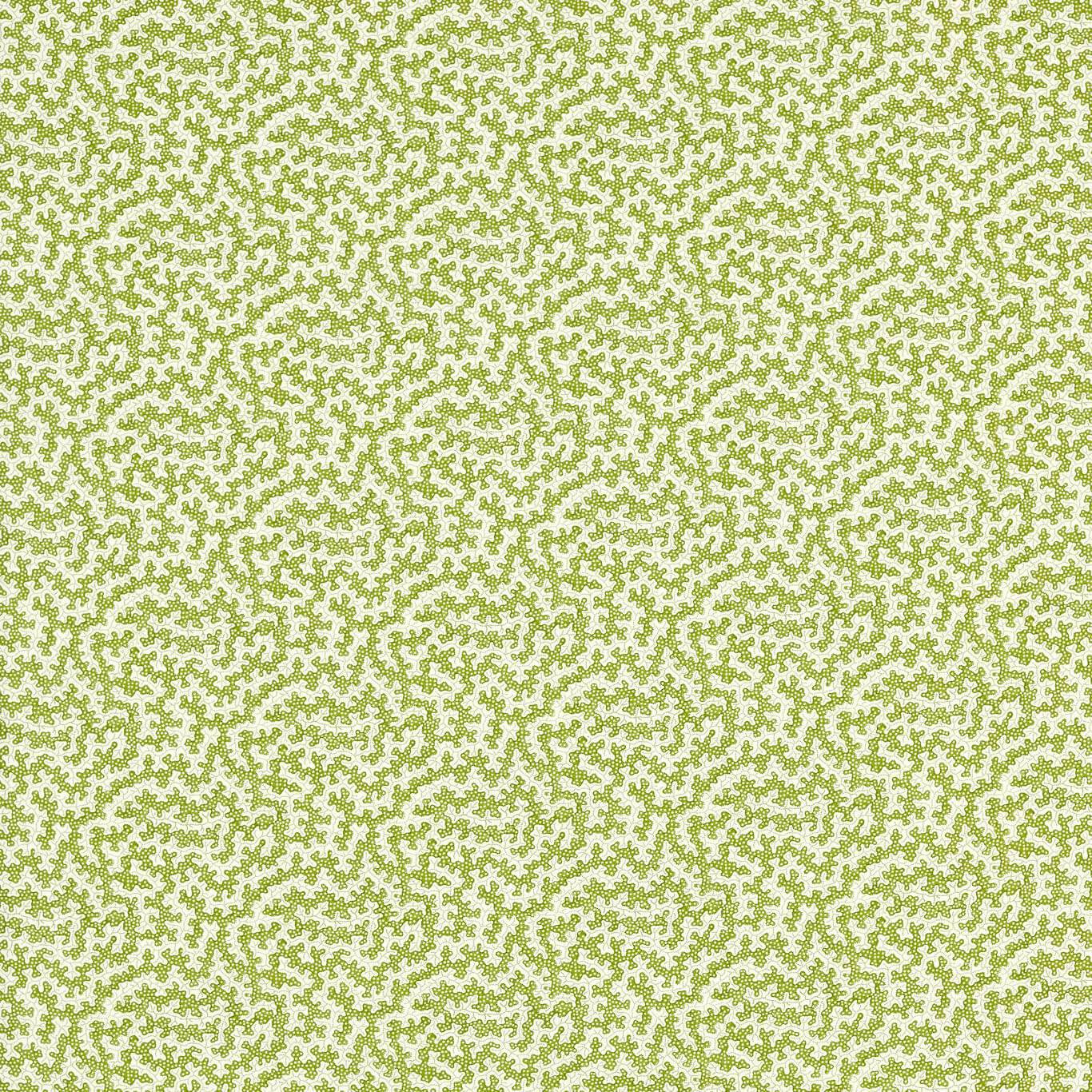 SANDERSON Truffle Fabric Spots Olive - DSAN227204