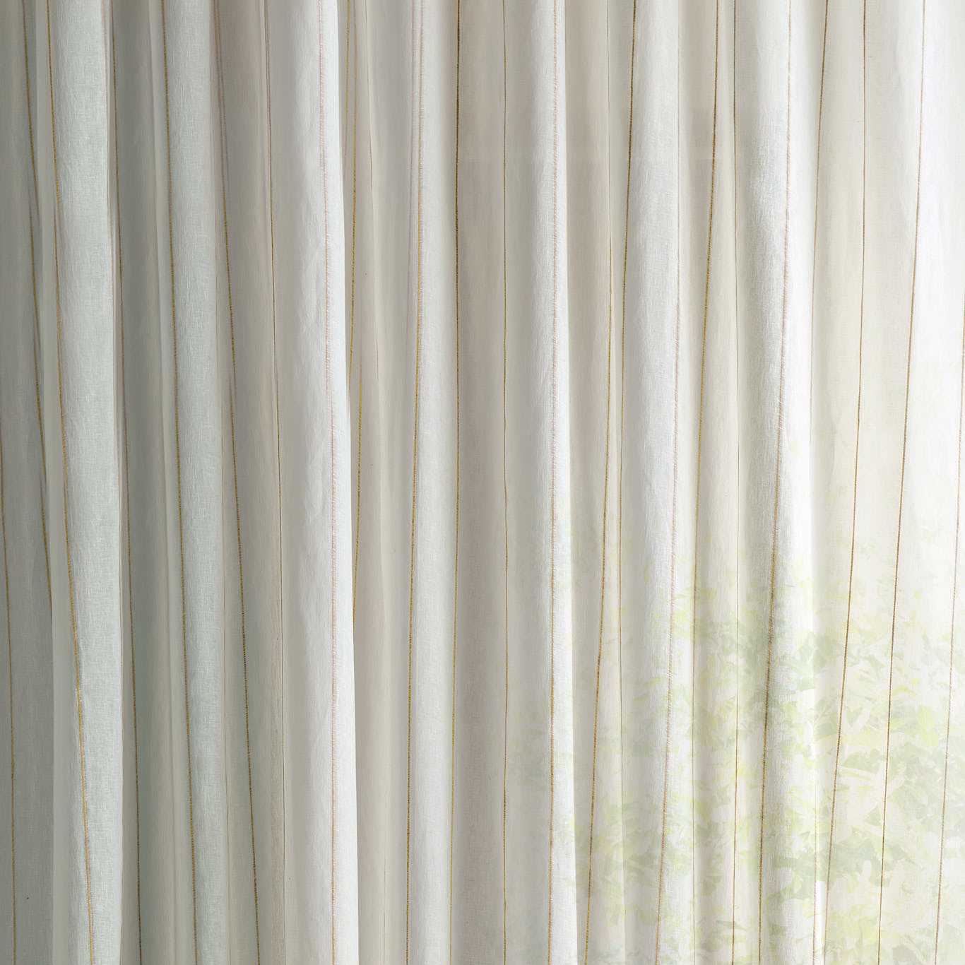 SANDERSON Telltale Non-Weighted Sheers/Voile Mimosa - DSHE237769