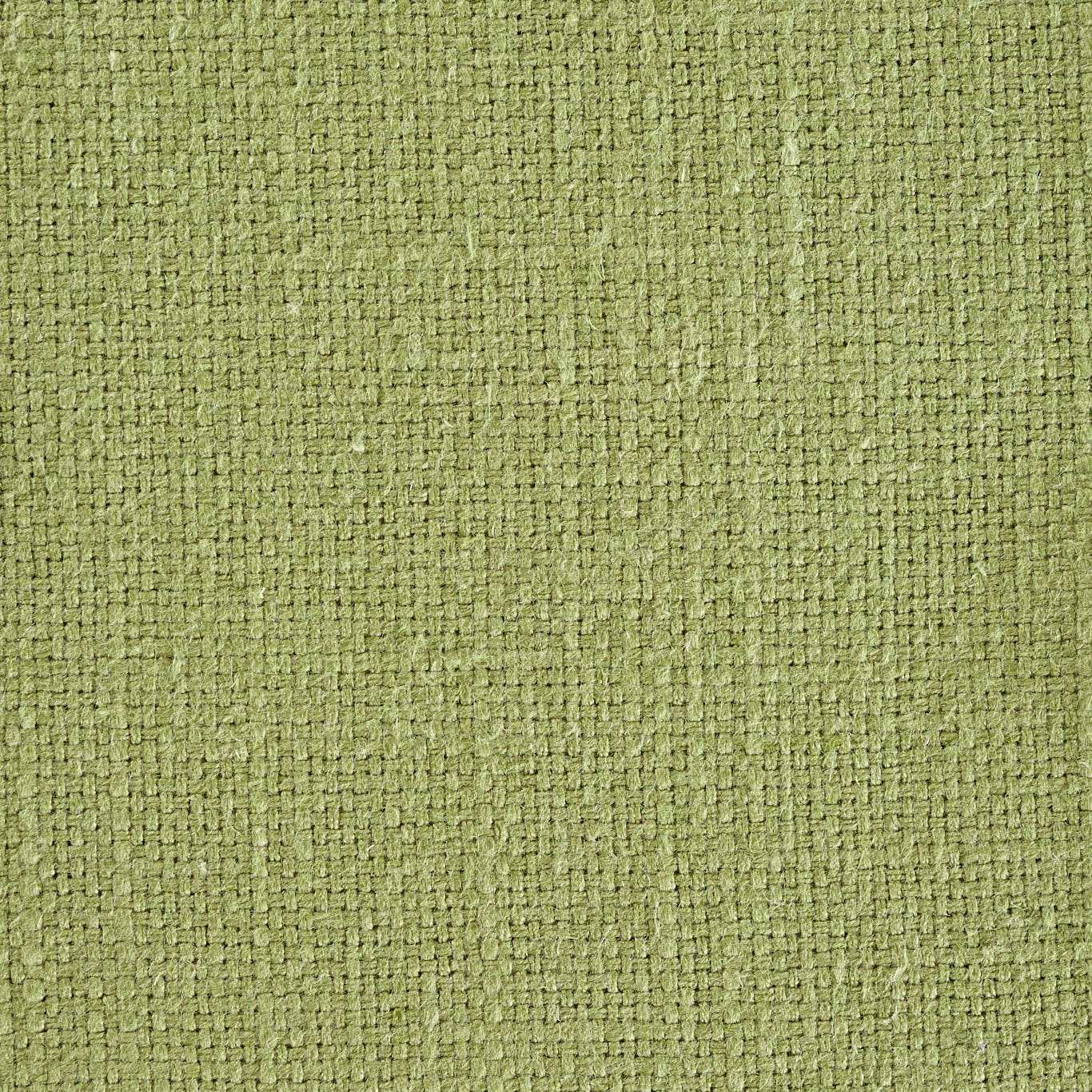 SANDERSON Tuscany Fabric Plains , Textures Moss - DTUS234233