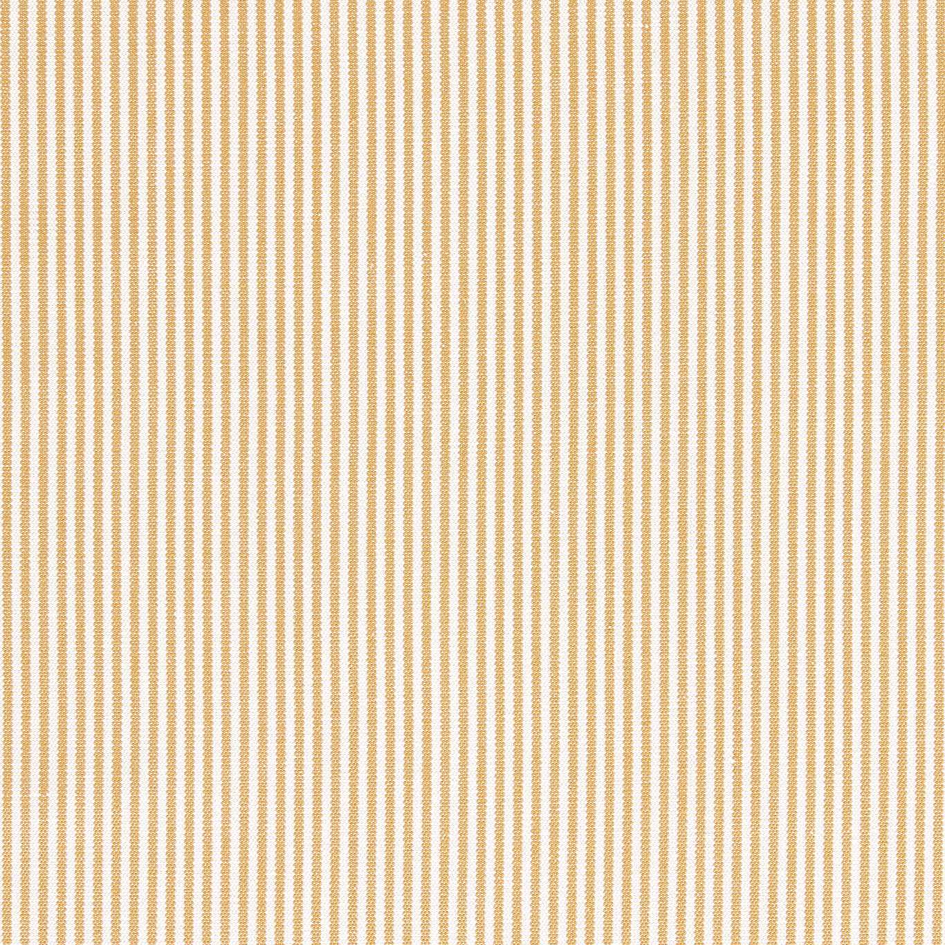 SANDERSON Burnham Fabric Stripes Wild Honey - DUPH237471