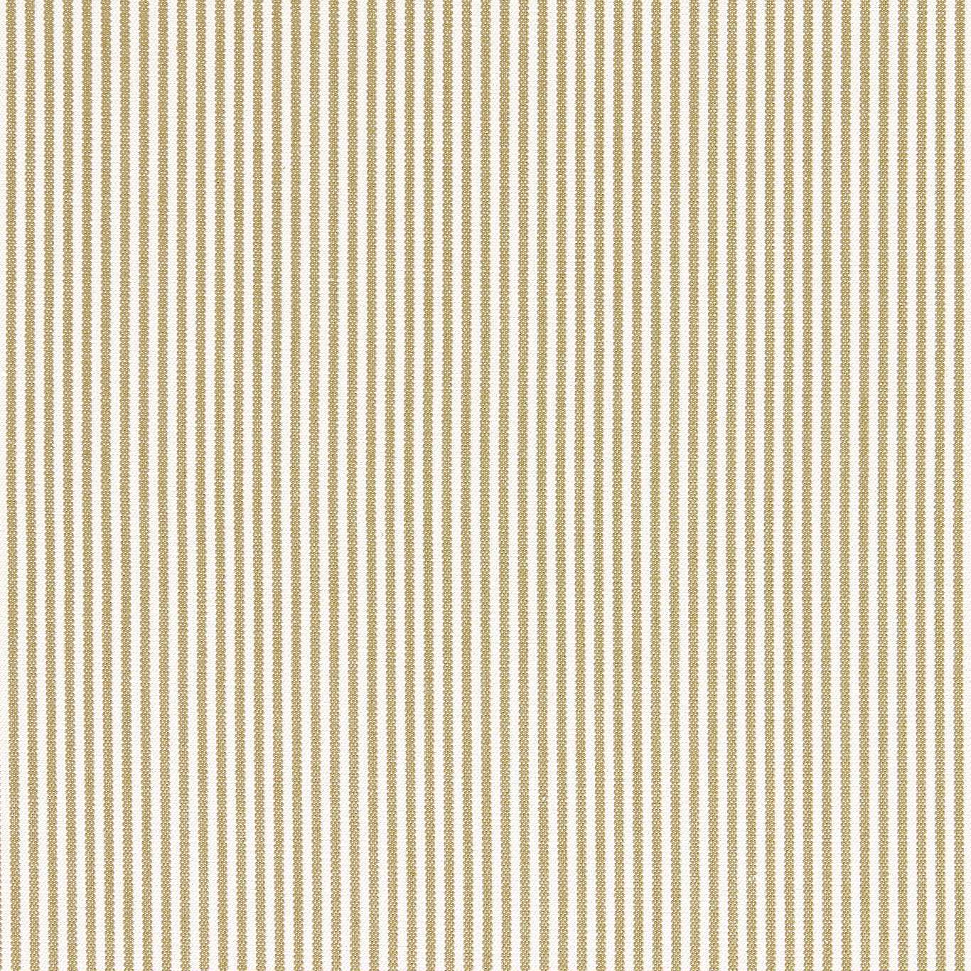 SANDERSON Burnham Fabric Stripes Asparagus - DUPH237473