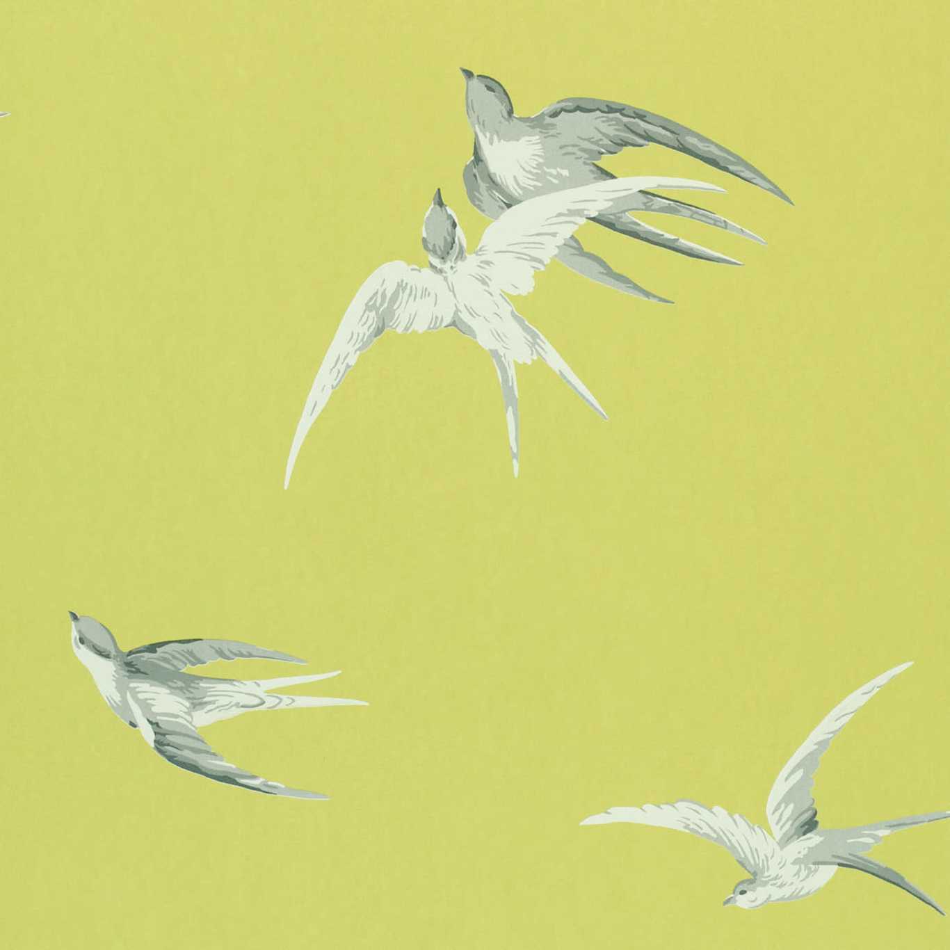 SANDERSON Swallows Wallpaper Birds Lime Gravure Printed Wallpaper - DVIWSW101