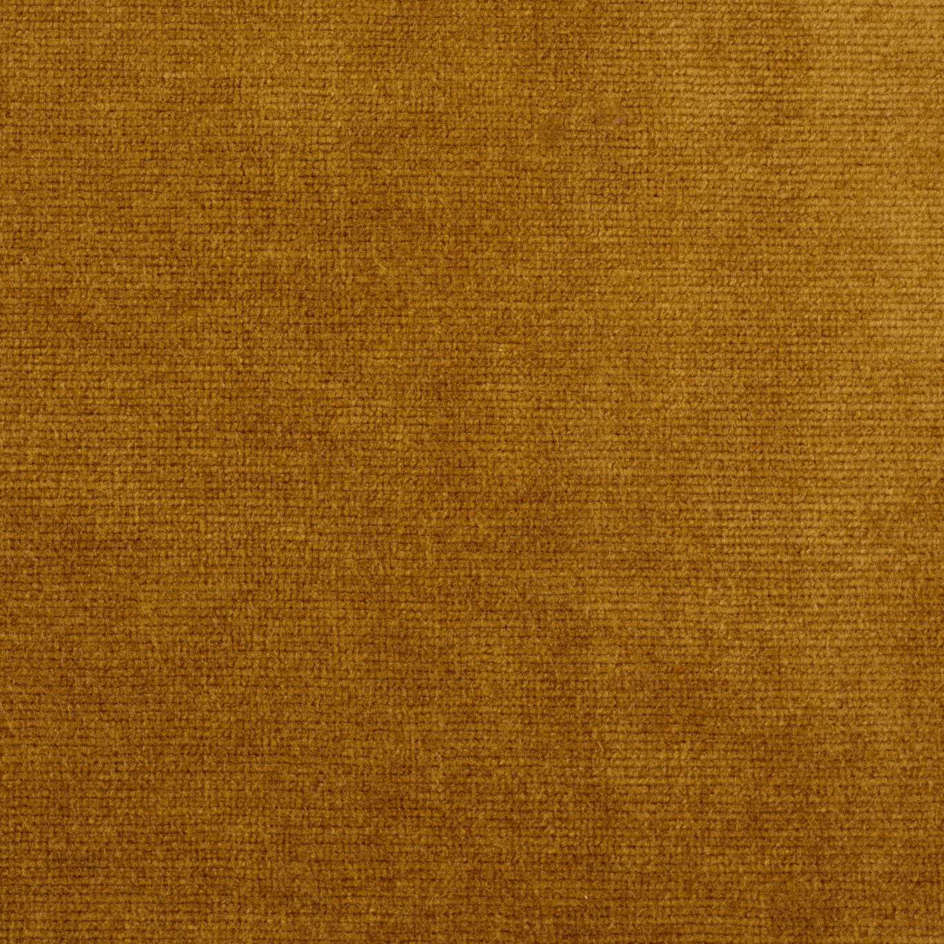 SANDERSON Boho Velvets Fabric Plains , Textures Old Gold - DVLV235274