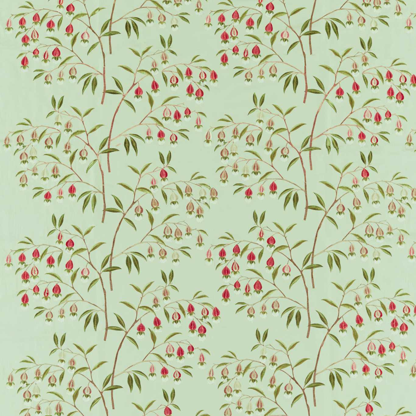 SANDERSON Chinese Lantern Fabric Leaves , Trees Mint , Apricot - DWAT237270