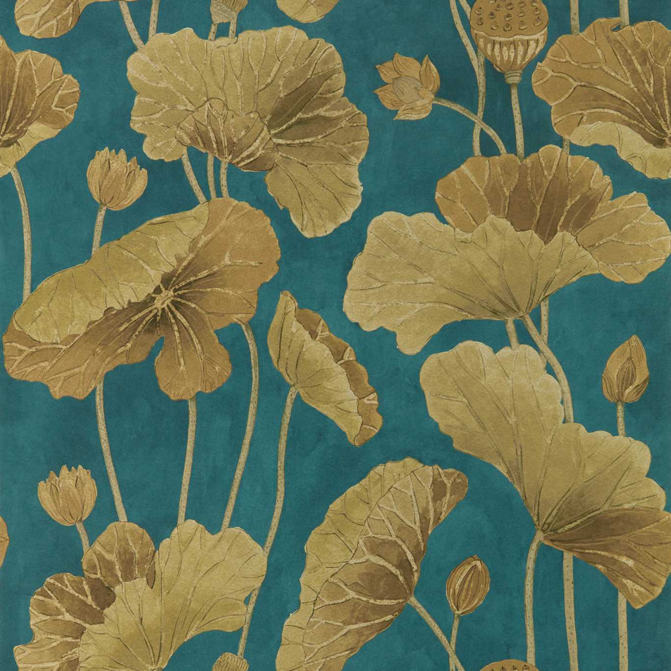 SANDERSON Lotus Leaf Wallpaper Leaves , Trees Midnight,Copper Gravure - Wide Width Printed Wallpaper - DWAW217127