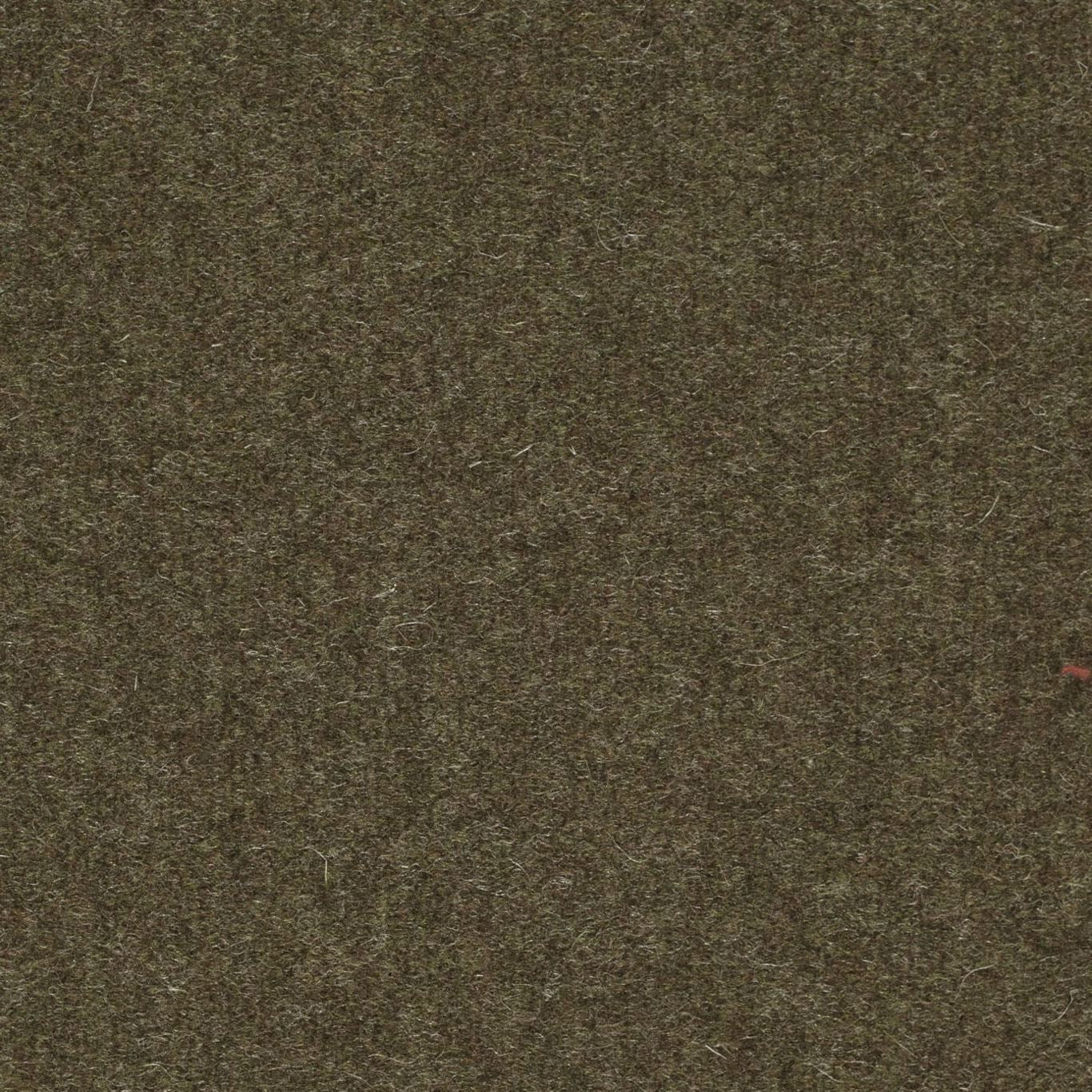 SANDERSON Byron Wool Plains Fabric Plains , Textures Moss - DWOL235314