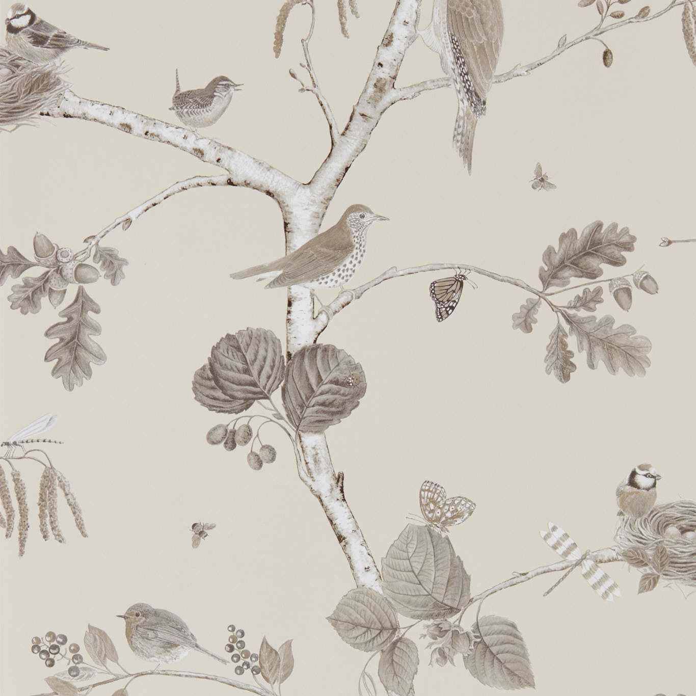 SANDERSON Woodland Chorus Wallpaper Birds Sepia,Neutral Gravure Printed Wallpaper - DWOW215704