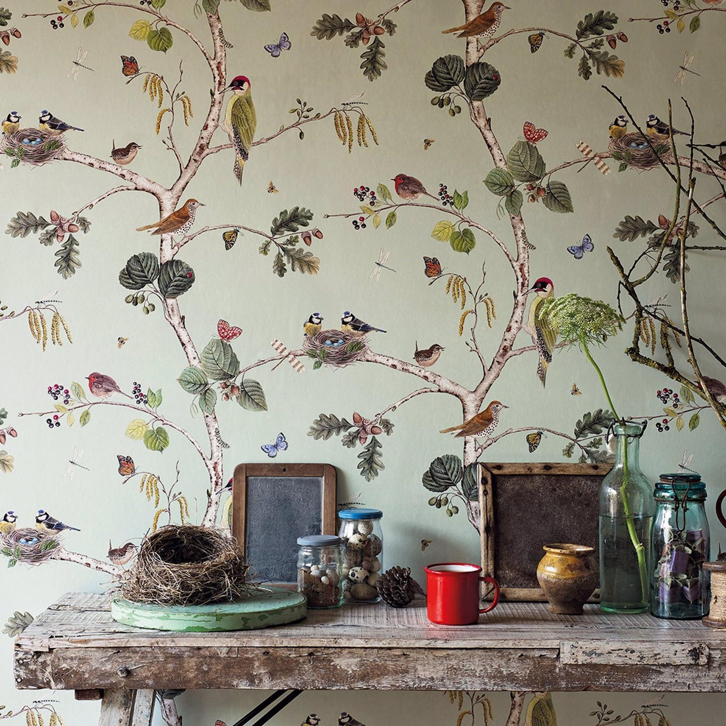Sanderson Woodland Chorus DWOW215706 wallpaper with delicate British birds, butterflies and berries on a modern tree of life motif in sky blue multi-colour, roll width 20.5″, pattern repeat 27″, ideal for feature wall, classic country interior design