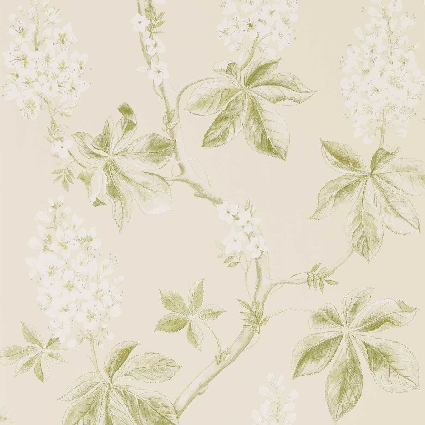 Beige wallpaper with sage-green botanical print of palmate leaves and white flower clusters, vintage style.
