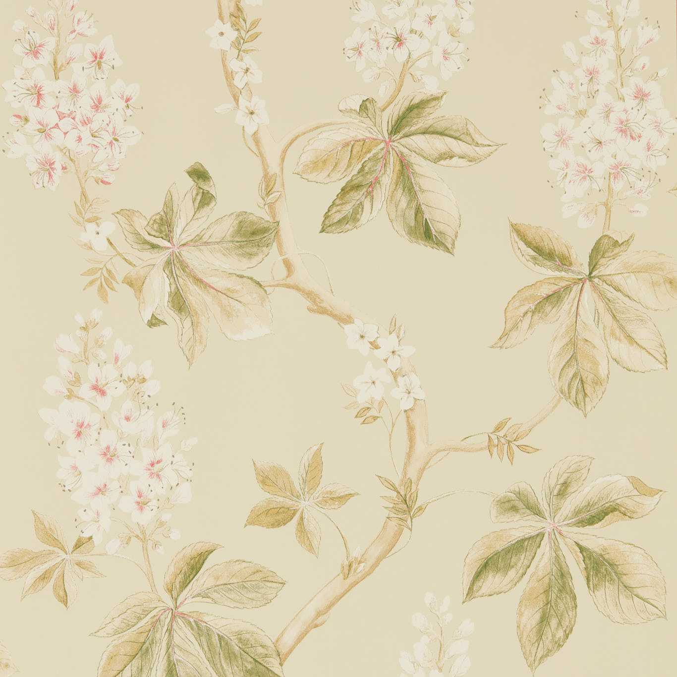 SANDERSON Chestnut Tree Wallpaper Leaves , Trees Coral,Bayleaf Gravure Printed Wallpaper - DWOW215709