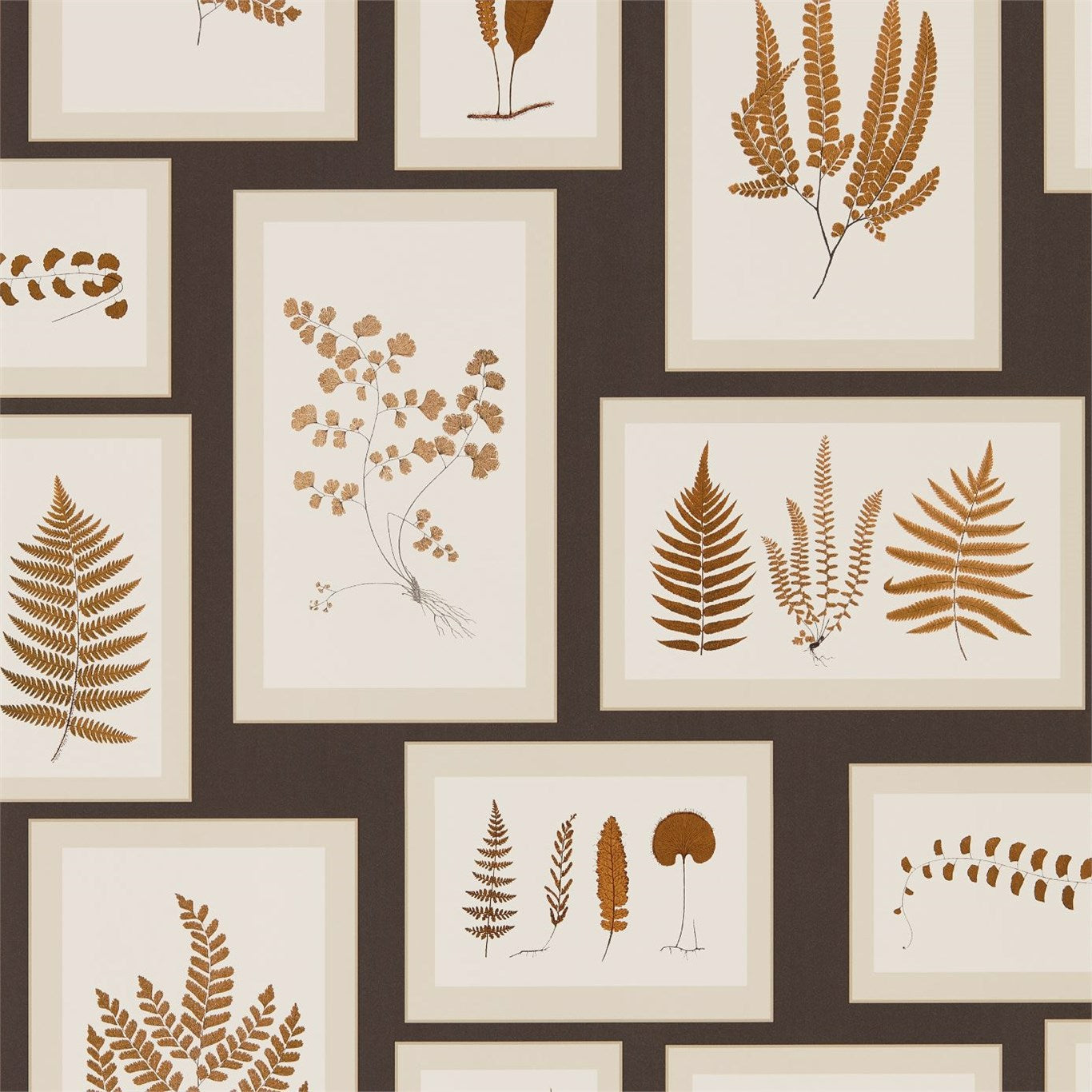 SANDERSON Fern Gallery Wallpaper Leaves , Trees Charcoal,Spice Gravure Printed Wallpaper - DWOW215713